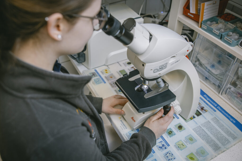 Tiermedizinische Fachangestellte untersucht Probe unter dem Mikroskop