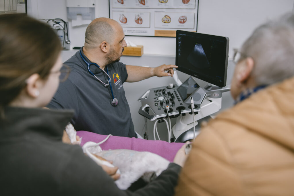 Ultraschalluntersuchung-beim-Hund-Eurode-Tiergesundheit-Herzogenrath Tierarzt zeigt auf den Monitor mit Ultraschallbild