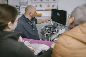 Tierarzt zeigt auf den Monitor mit Ultraschallbild